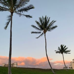 Meet your Posher, Josie